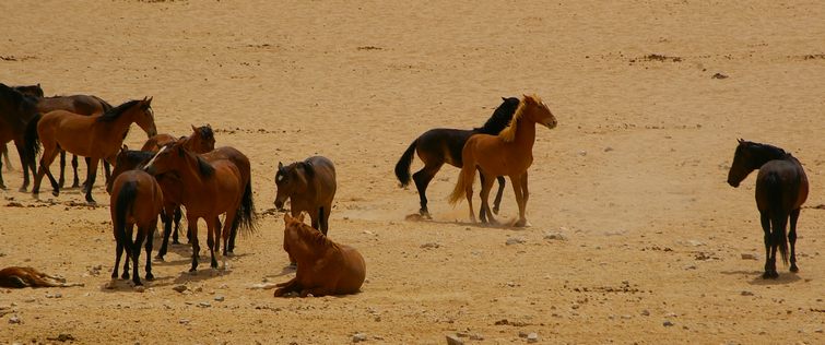 234 Namibia Okt 2006 .JPG
